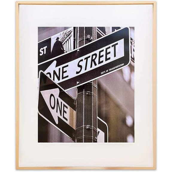 Contemporary Gold Aluminum Frame with Glass 20x24 to 16x20