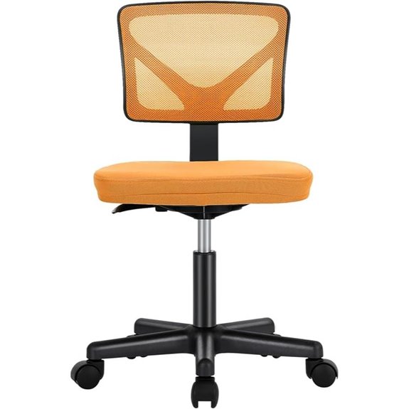 Sweetcrispy Ergonomic Mesh Office Chair with Lumbar Support