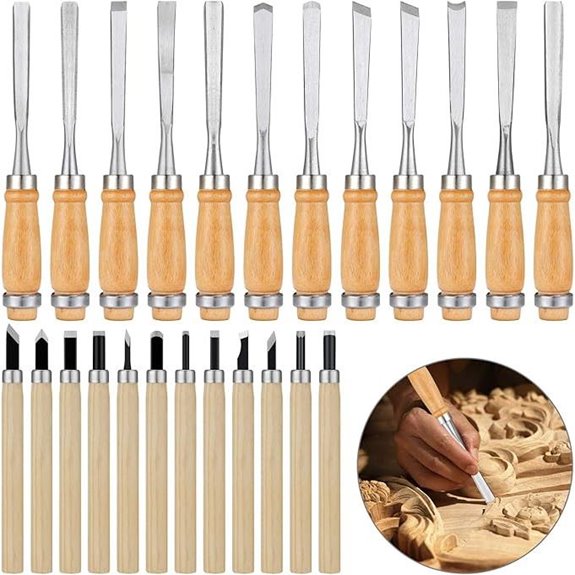 Calary 24-Piece Wood Carving Chisel Set