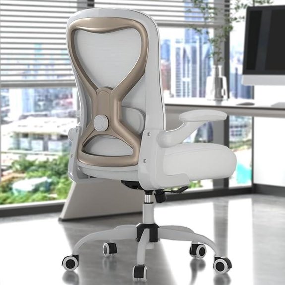 Ergonomic Office Desk Chair with Lumbar Support