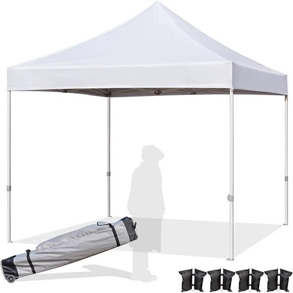 Heavy Duty 10x10 Canopy Tent with Accessories