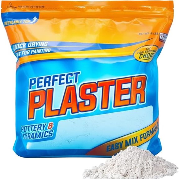 Ceramic Slip Casting Plaster Non-Toxic 4 lb Bag