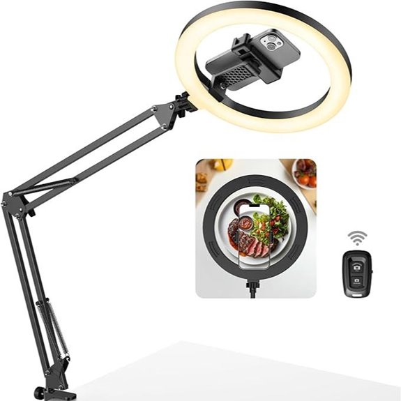 overhead phone mount with light