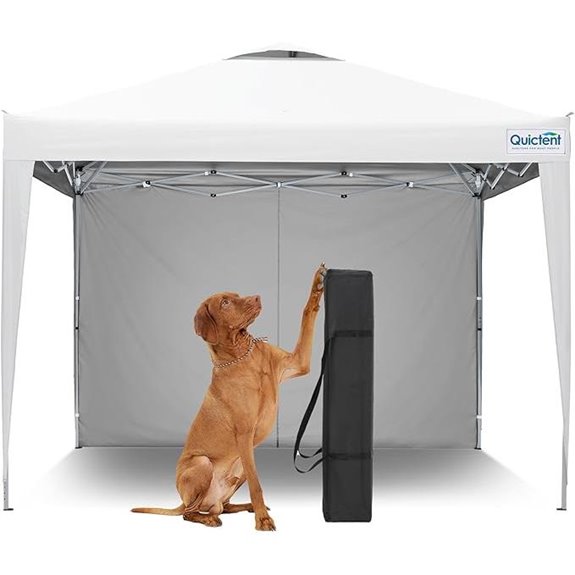 Quictent 10x10 Pop Up Canopy Tent