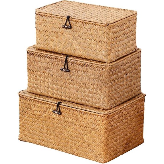 Nonam Seagrass Storage Baskets with Lids (Set of 3)