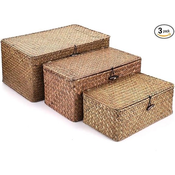 Hipiwe 3 Seagrass Storage Baskets with Lids