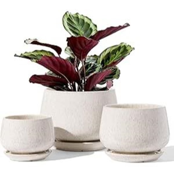 LE TAUCI Ceramic Plant Pots Set of 3