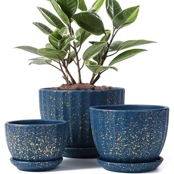 Ceramic Plant Pots with Drainage Holes (Set of 3)