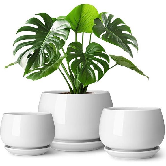 Vancasso 3-Pack Ceramic Indoor Plant Pots