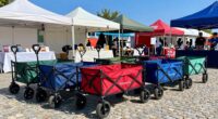 top folding wagon carts
