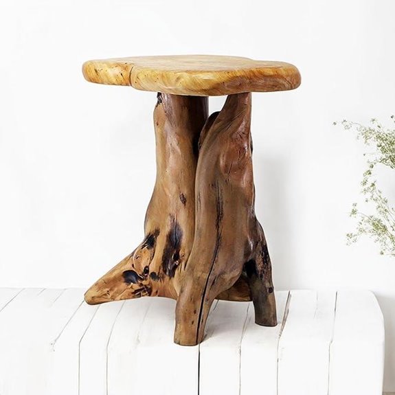 Welland Natural Tree Stump Side Table and Plant Stand