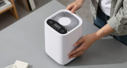 6 Best Dehumidifier for Pottery Studio in 2026