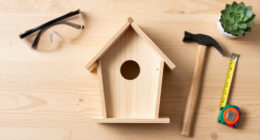 10 Best Woodworking Project Kits for Teens in 2026