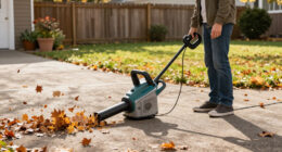 15 Best Cordless Leaf Blowers for 2026