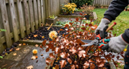 5 Shrubs To Prune In October For Healthier Growth And Better Blooms Next Year