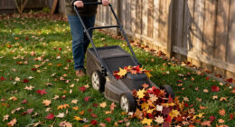 Skip Traditional Rakes: The Tool That Makes Cleaning Up Leaves Faster & Easier